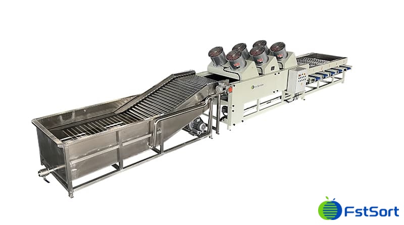 images/1694074870713fruit citrus sorting grading machine.jpg